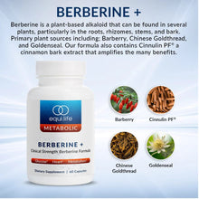 Load image into Gallery viewer, Berberine +
